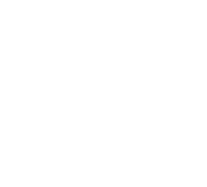 solo duo band